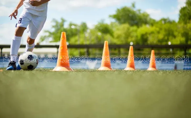 凯发·k8(国际)-官方网站百度移动开放平台足球运动员侯磊：职业生涯、荣誉获奖和个人资料全面介绍