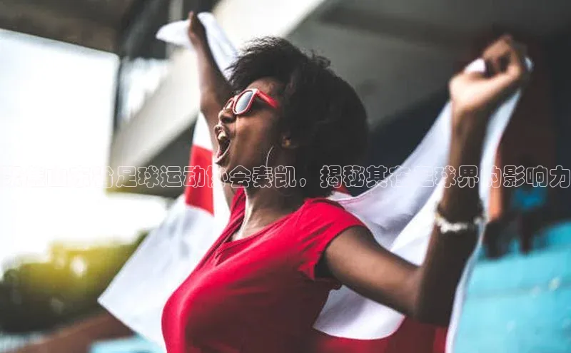 凯发K8官网首页登录阿里尔公司聚焦山东省足球运动协会秦凯，揭秘其在足球界的影响力