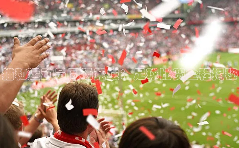 凯发K8国际官网入口百度识图猫和运动员同场竞技：足球比赛全程揭秘