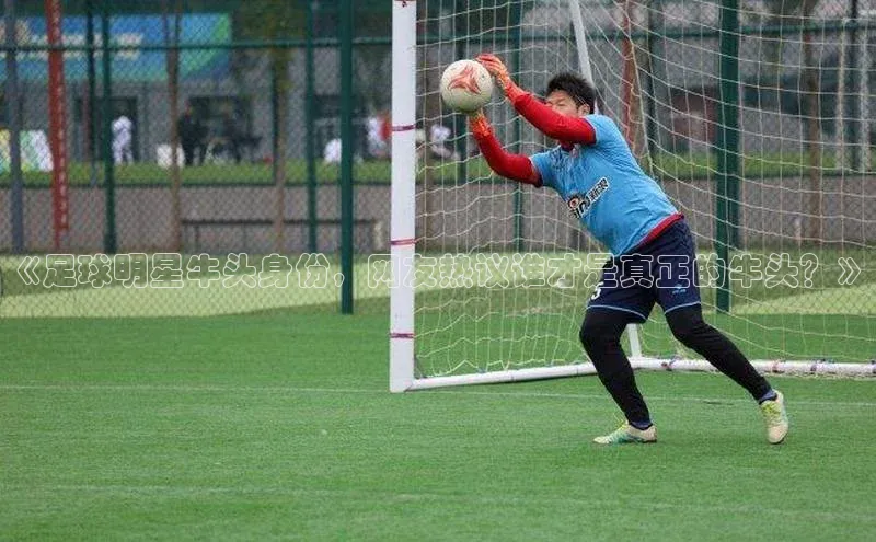 凯发·k8(国际)-官方网站京东《足球明星牛头身份，网友热议谁才是真正的牛头？》