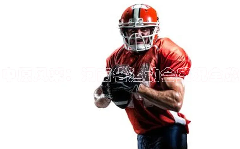 中原风采：河南省运动会盛况全览