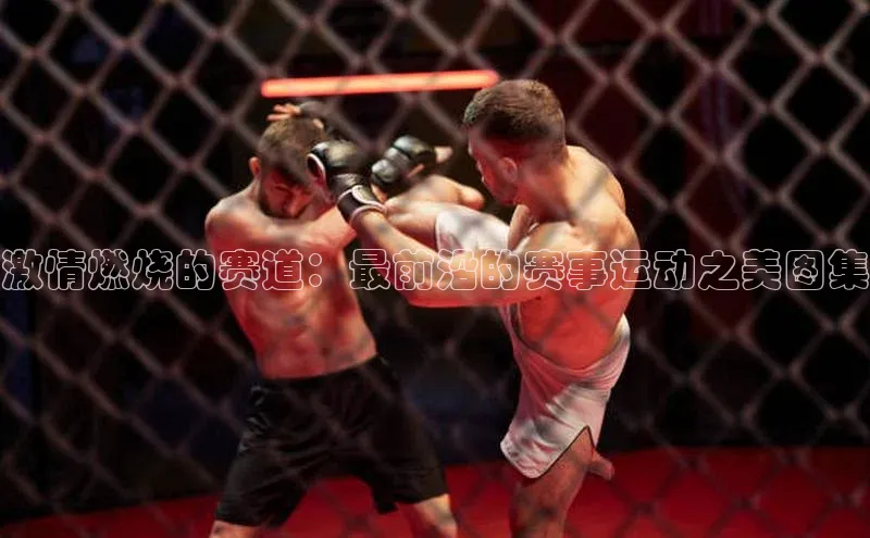激情燃烧的赛道：最前沿的赛事运动之美图集