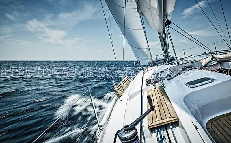 绿茵场上的激情与挑战：运动赛事的申请策略探讨