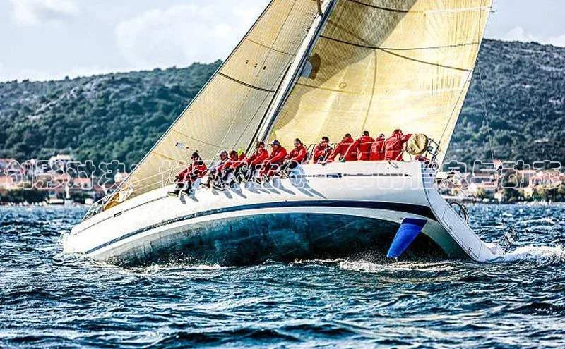 剑影对决：世界级击剑赛事的信息与动态