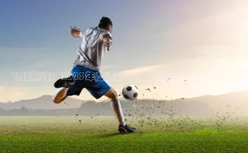 飞跃巅峰：2023年度运动会男子跳高中年冠军之路