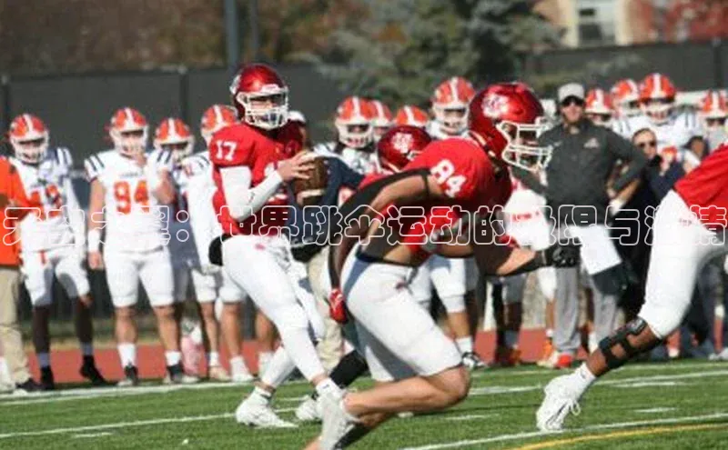 天空之翼：世界跳伞运动的极限与激情