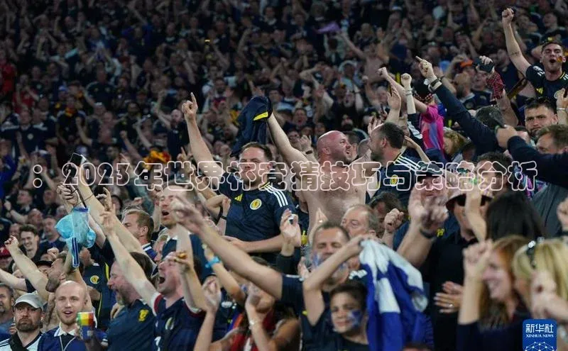 ：2023年世界杯竞猜技巧与策略分析