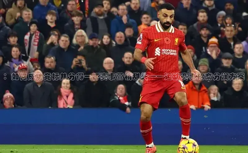 ：如何成功竞标并分得一杯赛事营销甜头——运动赛事招商分润方案