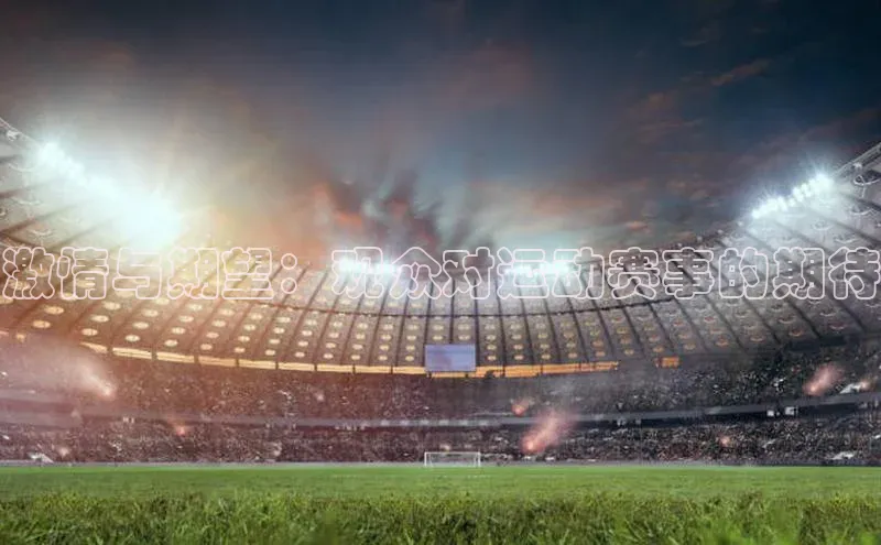 激情与期望：观众对运动赛事的期待