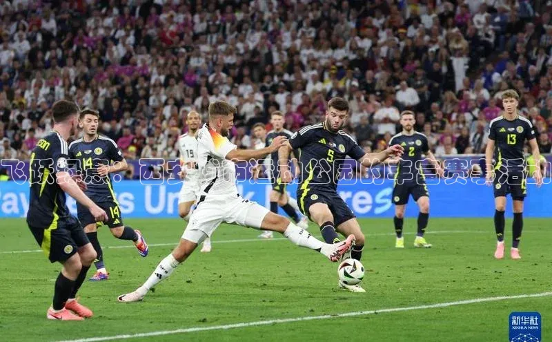 飞跃绿意：西安城市运动公园的丰富赛事活动