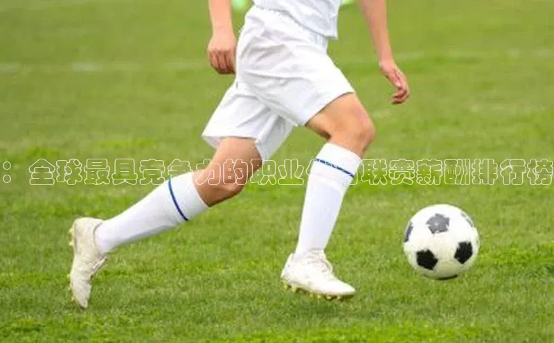 ：全球最具竞争力的职业体育联赛薪酬排行榜