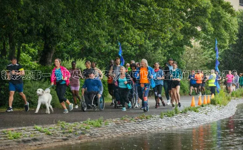 精彩赛事一网打尽：你在哪里可以观看热门运动比赛？