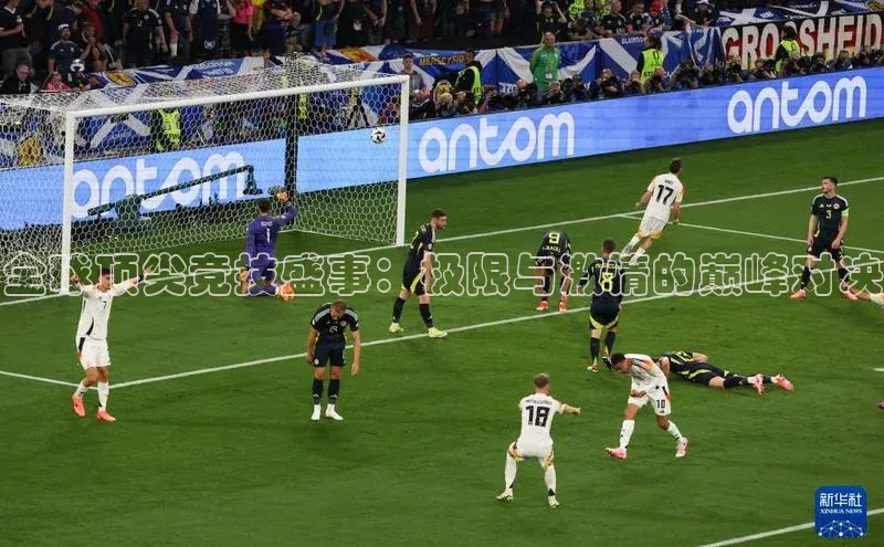 全球顶尖竞技盛事：极限与激情的巅峰对决