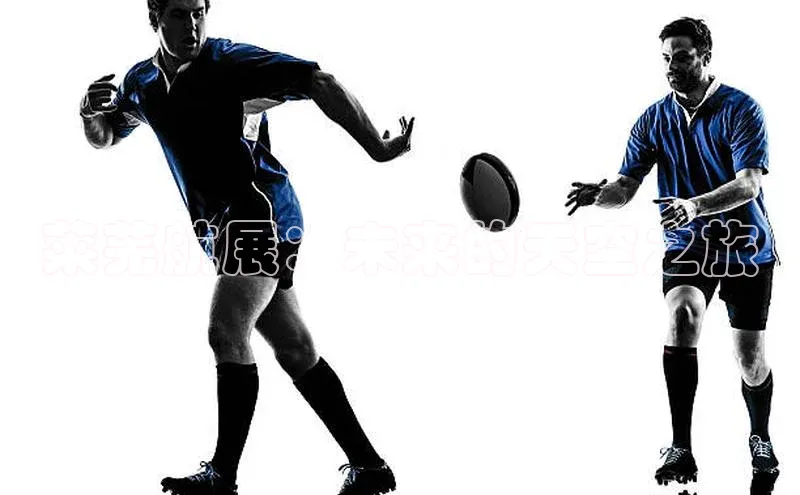 莱芜航展：未来的天空之旅