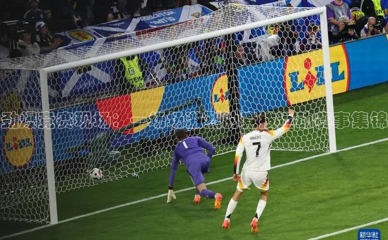 K8凯发·国际官方网站