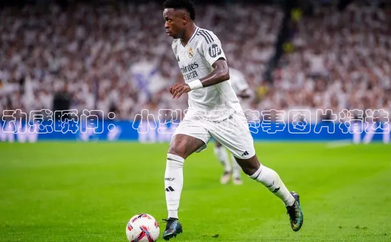 凯发K8国际首页登录入口