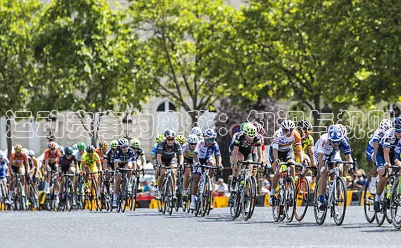 运动赛事的奥秘：知识与规则