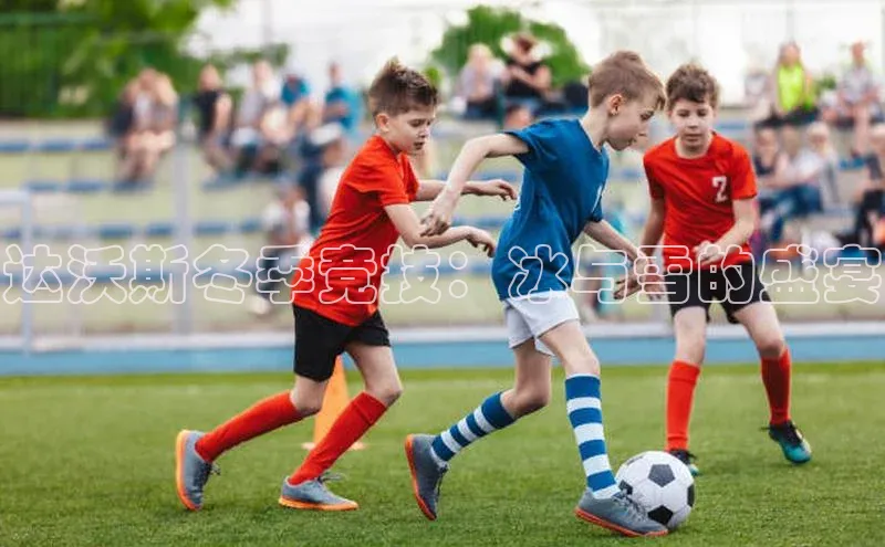 达沃斯冬季竞技：冰与雪的盛宴