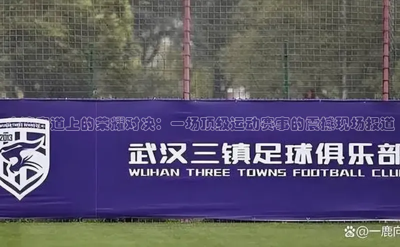 疾速赛道上的荣耀对决：一场顶级运动赛事的震撼现场报道